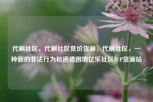 代刷社区，代刷社区低价货源	，代刷社区，一种新的非法行为和道德困境亿乐社区SUP货源站  第1张