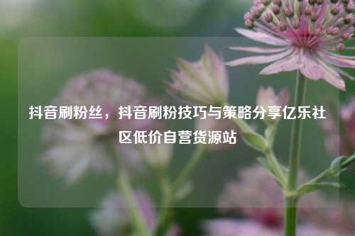 抖音刷粉丝	，抖音刷粉技巧与策略分享亿乐社区低价自营货源站  第1张
