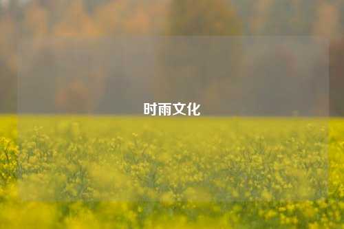 时雨文化  第1张
