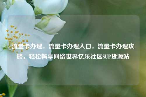 流量卡办理	，流量卡办理入口，流量卡办理攻略，轻松畅享网络世界亿乐社区SUP货源站  第1张