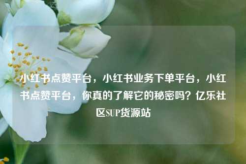 小红书点赞平台，小红书业务下单平台，小红书点赞平台，你真的了解它的秘密吗？亿乐社区SUP货源站  第1张