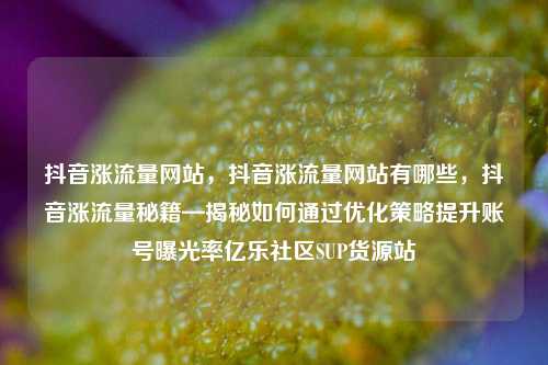 抖音涨流量网站，抖音涨流量网站有哪些	，抖音涨流量秘籍—揭秘如何通过优化策略提升账号曝光率亿乐社区SUP货源站  第1张