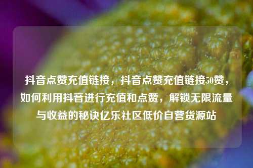 抖音点赞充值链接，抖音点赞充值链接50赞	，如何利用抖音进行充值和点赞，解锁无限流量与收益的秘诀亿乐社区低价自营货源站  第1张