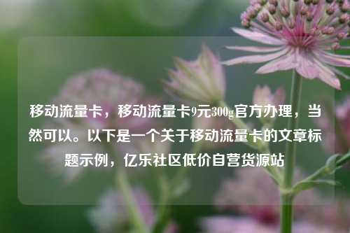 移动流量卡，移动流量卡9元300g官方办理	，当然可以。以下是一个关于移动流量卡的文章标题示例，亿乐社区低价自营货源站  第1张