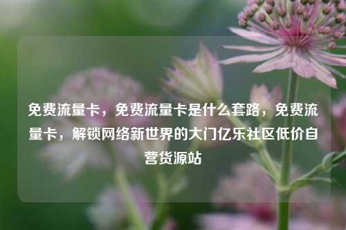 免费流量卡	，免费流量卡是什么套路，免费流量卡，解锁网络新世界的大门亿乐社区低价自营货源站  第1张