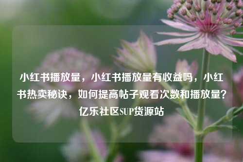 小红书播放量	，小红书播放量有收益吗，小红书热卖秘诀，如何提高帖子观看次数和播放量？亿乐社区SUP货源站  第1张