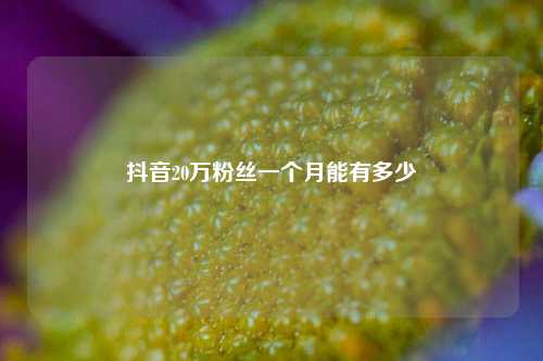抖音20万粉丝一个月能有多少  第1张