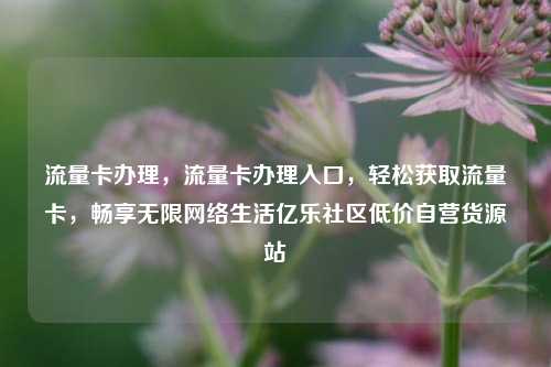 流量卡办理，流量卡办理入口，轻松获取流量卡	，畅享无限网络生活亿乐社区低价自营货源站  第1张