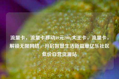 流量卡	，流量卡移动19元200g大王卡，流量卡，解锁无限网络	，开启智慧生活新篇章亿乐社区低价自营货源站  第1张
