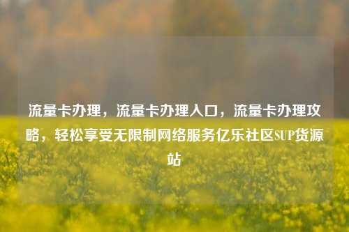 流量卡办理，流量卡办理入口，流量卡办理攻略	，轻松享受无限制网络服务亿乐社区SUP货源站  第1张