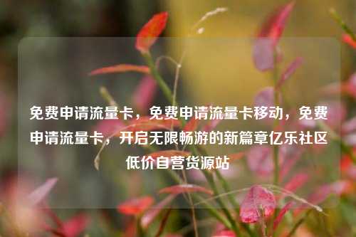免费申请流量卡	，免费申请流量卡移动，免费申请流量卡，开启无限畅游的新篇章亿乐社区低价自营货源站  第1张