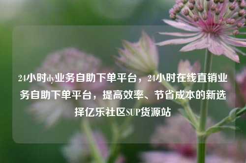 24小时dy业务自助下单平台，24小时在线直销业务自助下单平台	，提高效率、节省成本的新选择亿乐社区SUP货源站  第1张