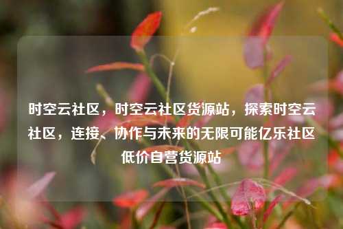 时空云社区	，时空云社区货源站，探索时空云社区，连接、协作与未来的无限可能亿乐社区低价自营货源站  第1张