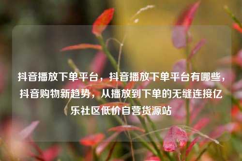 抖音播放下单平台	，抖音播放下单平台有哪些，抖音购物新趋势，从播放到下单的无缝连接亿乐社区低价自营货源站  第1张