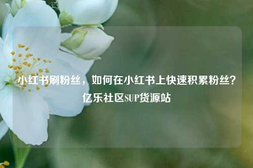 小红书刷粉丝	，如何在小红书上快速积累粉丝？亿乐社区SUP货源站  第1张