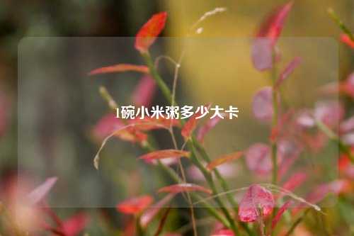 1碗小米粥多少大卡  第1张
