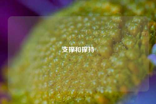 支撑和撑持  第1张
