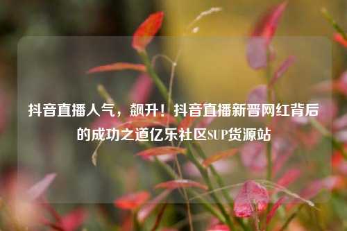 抖音直播人气	，飙升！抖音直播新晋网红背后的成功之道亿乐社区SUP货源站  第1张