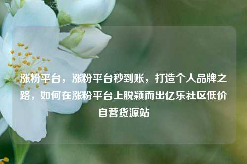 涨粉平台，涨粉平台秒到账	，打造个人品牌之路，如何在涨粉平台上脱颖而出亿乐社区低价自营货源站  第1张