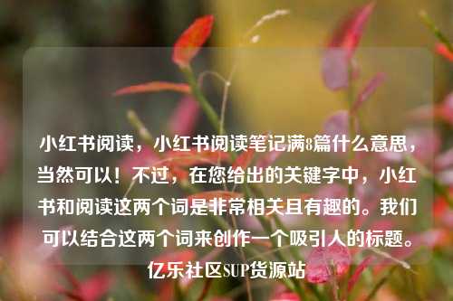 小红书阅读，小红书阅读笔记满8篇什么意思	，当然可以！不过，在您给出的关键字中，小红书和阅读这两个词是非常相关且有趣的。我们可以结合这两个词来创作一个吸引人的标题	。亿乐社区SUP货源站  第1张