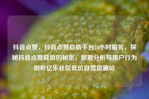 抖音点赞，抖音点赞自助平台24小时服务，探秘抖音点赞背后的秘密	，数据分析与用户行为剖析亿乐社区低价自营货源站  第1张