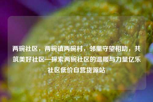 两碗社区	，两碗镇两碗村，邻里守望相助，共筑美好社区—探索两碗社区的温暖与力量亿乐社区低价自营货源站  第1张