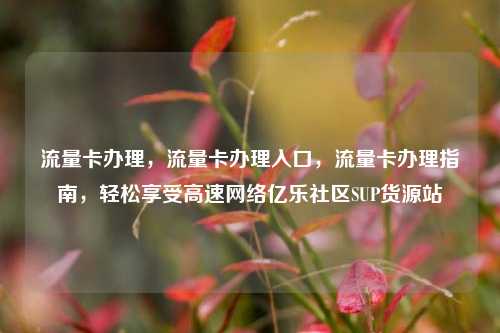 流量卡办理，流量卡办理入口，流量卡办理指南，轻松享受高速网络亿乐社区SUP货源站  第1张