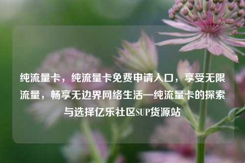 纯流量卡，纯流量卡免费申请入口，享受无限流量	，畅享无边界网络生活—纯流量卡的探索与选择亿乐社区SUP货源站  第1张