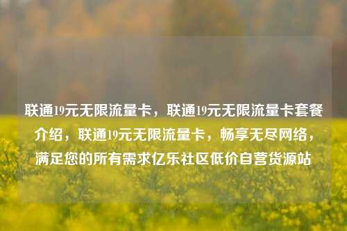 联通19元无限流量卡	，联通19元无限流量卡套餐介绍，联通19元无限流量卡，畅享无尽网络	，满足您的所有需求亿乐社区低价自营货源站  第1张