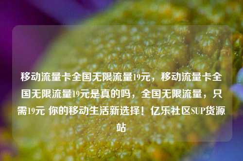 移动流量卡全国无限流量19元，移动流量卡全国无限流量19元是真的吗	，全国无限流量，只需19元 你的移动生活新选择！亿乐社区SUP货源站  第1张