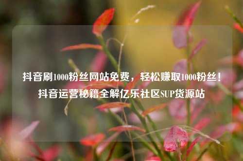 抖音刷1000粉丝网站免费，轻松赚取1000粉丝！抖音运营秘籍全解亿乐社区SUP货源站  第1张