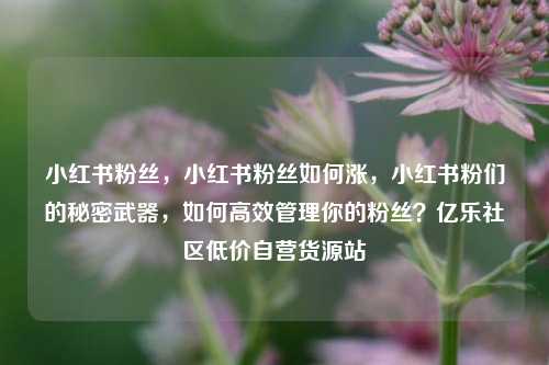 小红书粉丝，小红书粉丝如何涨	，小红书粉们的秘密武器，如何高效管理你的粉丝？亿乐社区低价自营货源站  第1张