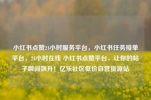 小红书点赞24小时服务平台，小红书任务接单平台	，24小时在线 小红书点赞平台，让你的帖子瞬间飙升！亿乐社区低价自营货源站  第1张