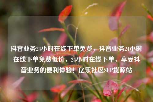 抖音业务24小时在线下单免费，抖音业务24小时在线下单免费低价	，24小时在线下单，享受抖音业务的便利体验！亿乐社区SUP货源站  第1张