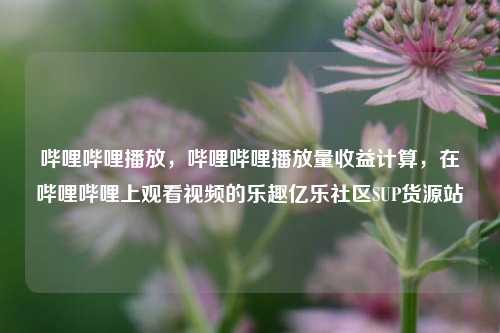 哔哩哔哩播放，哔哩哔哩播放量收益计算	，在哔哩哔哩上观看视频的乐趣亿乐社区SUP货源站  第1张