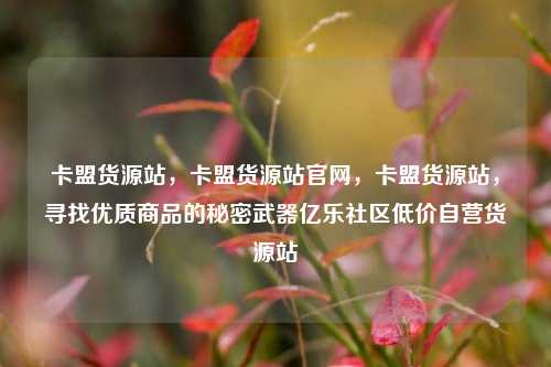 卡盟货源站，卡盟货源站官网	，卡盟货源站，寻找优质商品的秘密武器亿乐社区低价自营货源站  第1张