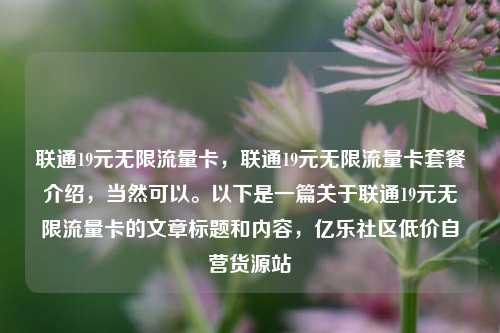 联通19元无限流量卡，联通19元无限流量卡套餐介绍，当然可以。以下是一篇关于联通19元无限流量卡的文章标题和内容	，亿乐社区低价自营货源站  第1张