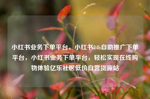 小红书业务下单平台，小红书24h自助推广下单平台，小红书业务下单平台	，轻松实现在线购物体验亿乐社区低价自营货源站  第1张