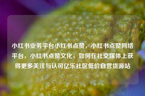 小红书业务平台小红书点赞，小红书点赞网络平台	，小红书点赞文化，如何在社交媒体上获得更多关注与认可亿乐社区低价自营货源站  第1张