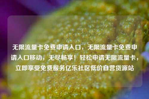 无限流量卡免费申请入口，无限流量卡免费申请入口移动，无尽畅享！轻松申请无限流量卡	，立即享受免费服务亿乐社区低价自营货源站  第1张