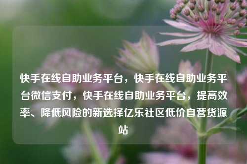 快手在线自助业务平台，快手在线自助业务平台微信支付，快手在线自助业务平台，提高效率	、降低风险的新选择亿乐社区低价自营货源站  第1张