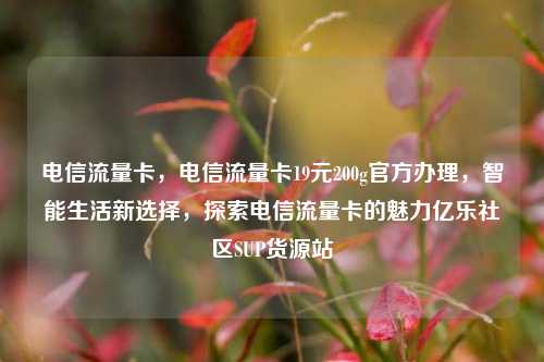 电信流量卡，电信流量卡19元200g官方办理	，智能生活新选择，探索电信流量卡的魅力亿乐社区SUP货源站  第1张