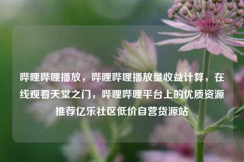 哔哩哔哩播放，哔哩哔哩播放量收益计算，在线观看天堂之门	，哔哩哔哩平台上的优质资源推荐亿乐社区低价自营货源站  第1张