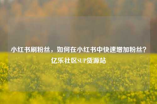 小红书刷粉丝，如何在小红书中快速增加粉丝？亿乐社区SUP货源站  第1张