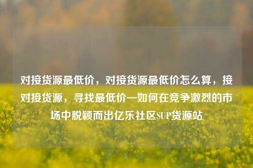 对接货源最低价，对接货源最低价怎么算	，接对接货源，寻找最低价—如何在竞争激烈的市场中脱颖而出亿乐社区SUP货源站  第1张