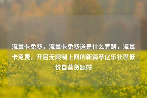 流量卡免费	，流量卡免费送是什么套路，流量卡免费，开启无限制上网的新篇章亿乐社区低价自营货源站  第1张