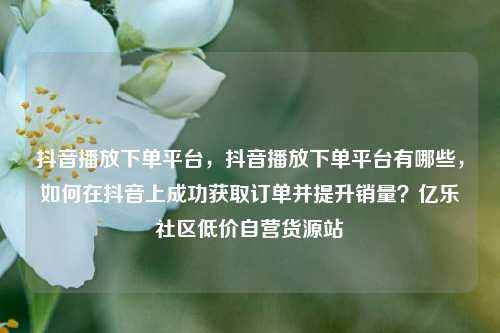 抖音播放下单平台，抖音播放下单平台有哪些，如何在抖音上成功获取订单并提升销量？亿乐社区低价自营货源站  第1张