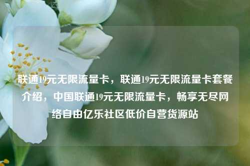 联通19元无限流量卡	，联通19元无限流量卡套餐介绍，中国联通19元无限流量卡，畅享无尽网络自由亿乐社区低价自营货源站  第1张