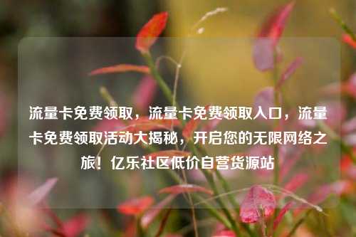 流量卡免费领取，流量卡免费领取入口，流量卡免费领取活动大揭秘，开启您的无限网络之旅！亿乐社区低价自营货源站  第1张