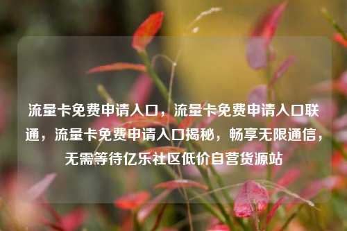 流量卡免费申请入口	，流量卡免费申请入口联通，流量卡免费申请入口揭秘，畅享无限通信	，无需等待亿乐社区低价自营货源站  第1张
